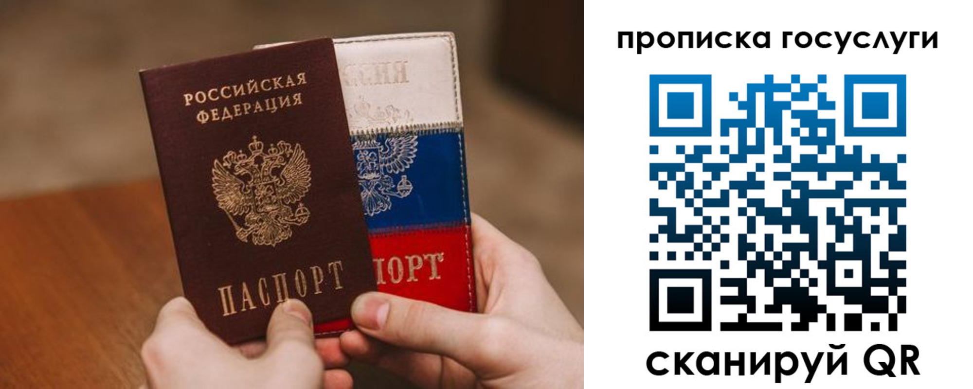 прописка штамп в Сельцо